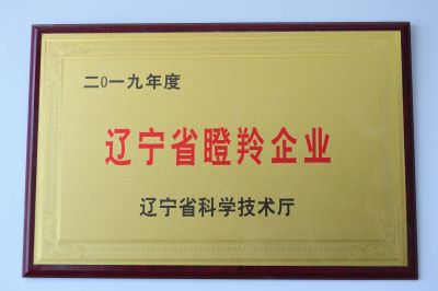 辽宁省瞪羚企业